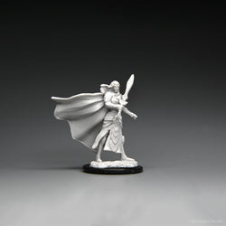 Magic: the Gathering - Unpainted Miniatures - Elf Fighter & Elf Cleric (ONLINE ORDER ONLY)