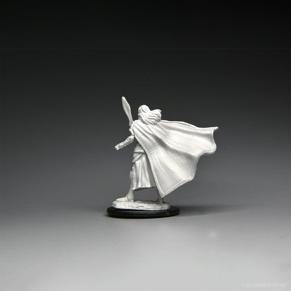 Magic: the Gathering - Unpainted Miniatures - Elf Fighter & Elf Cleric (ONLINE ORDER ONLY)