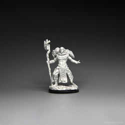 Magic: the Gathering - Unpainted Miniatures - Elf Fighter & Elf Cleric (ONLINE ORDER ONLY)