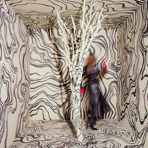 Revealer [LP] [Vinyl] (ONLINE ORDER ONLY)