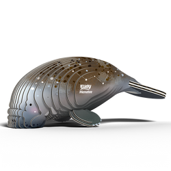 Manatee 3D Cardboard Model Kit Eugy (ONLINE ORDER ONLY)