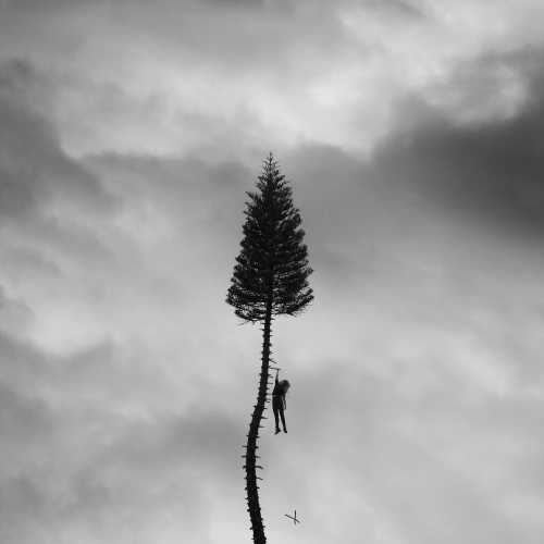 A Black Mile To The Surface [Gray Marble 2 LP] [Vinyl] (ONLINE ORDER ONLY)
