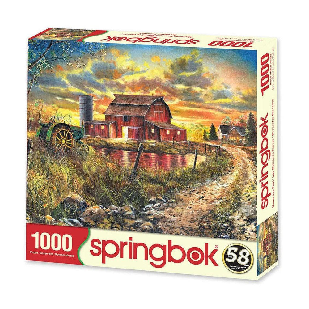 Memories Past 1000 Piece Jigsaw Puzzle Springbok