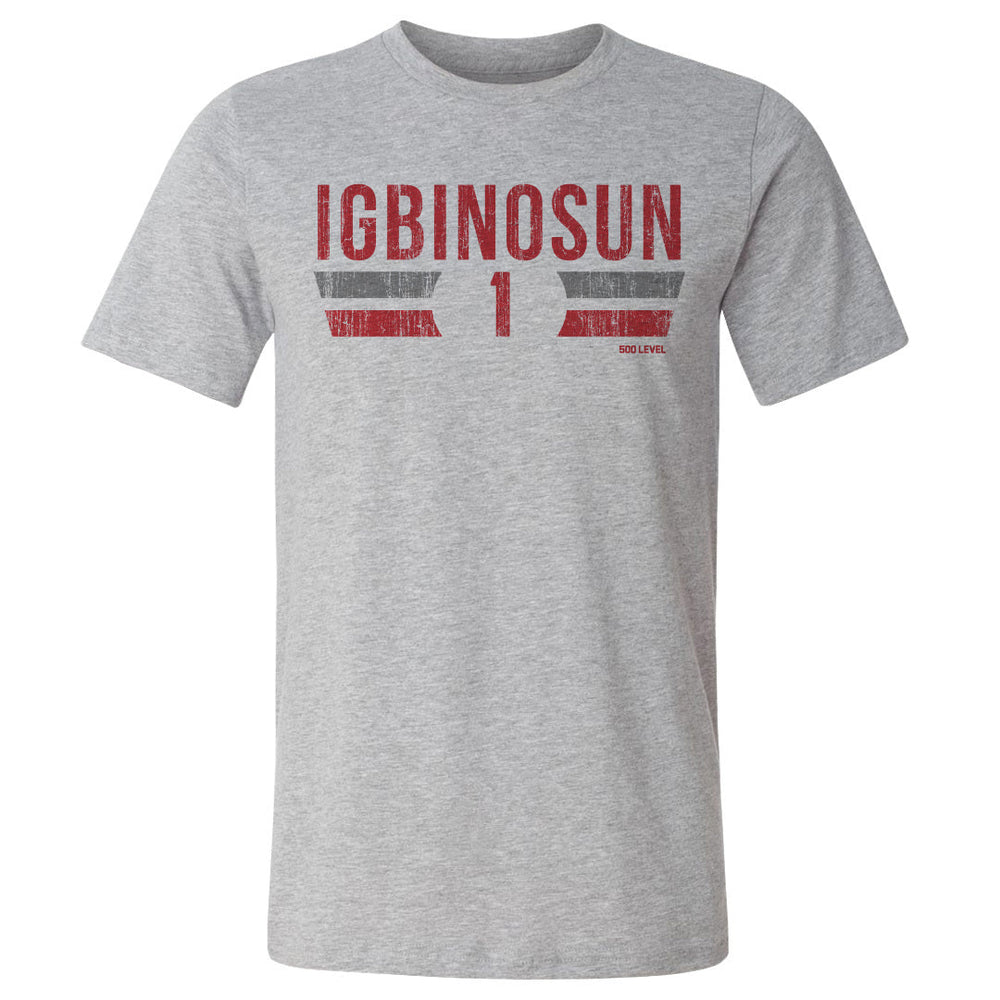Davison Igbinosun College Font (ONLINE ORDER ONLY)
