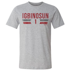 Davison Igbinosun College Font (ONLINE ORDER ONLY)