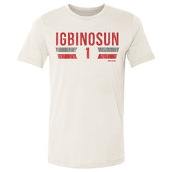 Davison Igbinosun College Font (ONLINE ORDER ONLY)