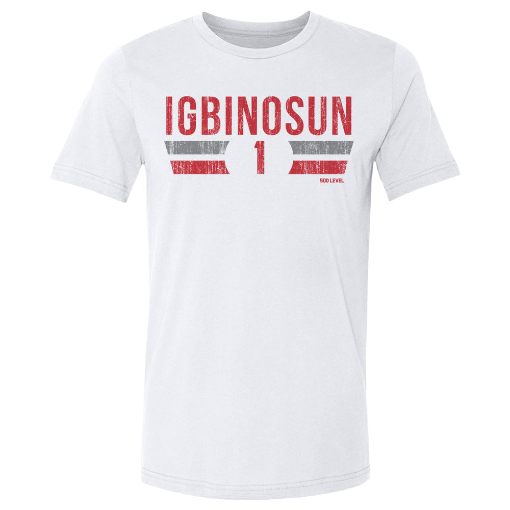 Davison Igbinosun College Font (ONLINE ORDER ONLY)