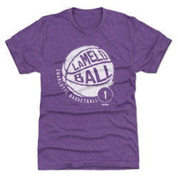 LaMelo Ball Charlotte Basketball WHT (ONLINE ORDER ONLY)