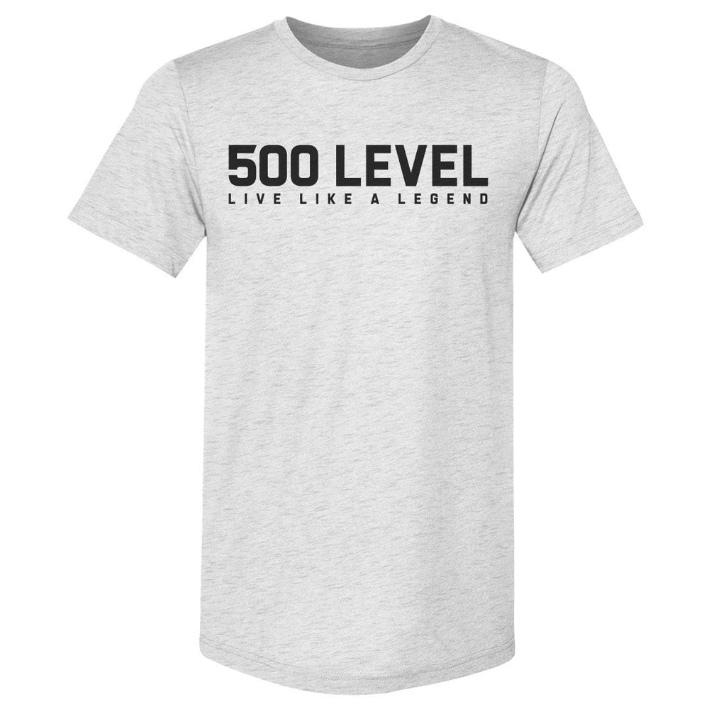 500 LEVEL Wordmark