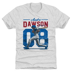 Andre Dawson Vintage B