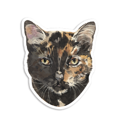 Sticker Pack (Online Order Only)