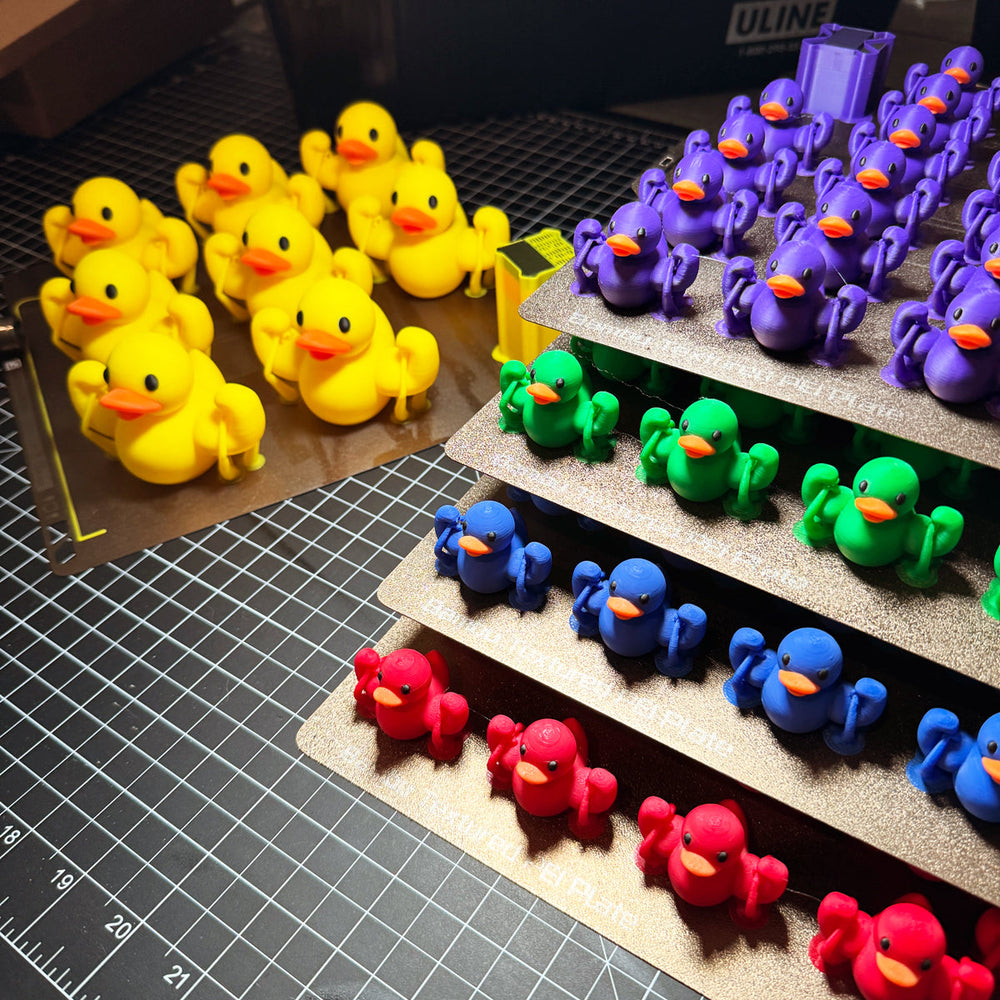 Rainbow Mini Swole Duck Quack Pack (ONLINE ORDER ONLY)