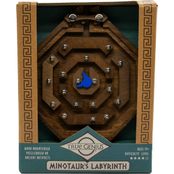 Minotaur's Labyrinth Brainteaser Puzzle True Genius (ONLINE ORDER ONLY)
