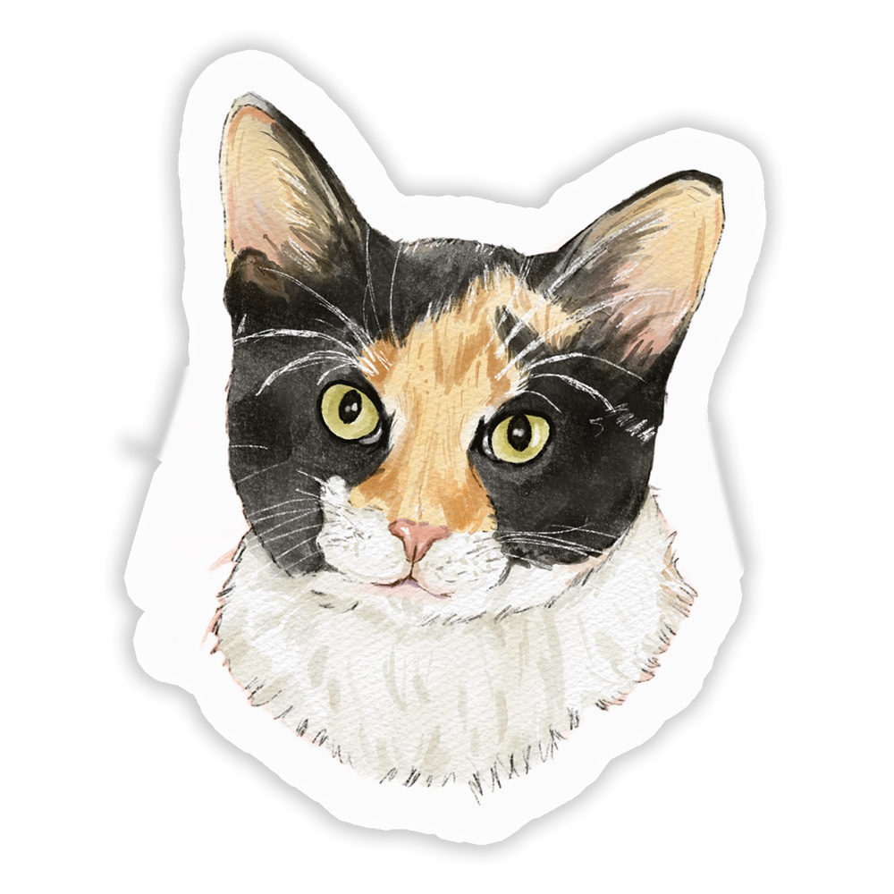 Faces Of Kitty Town Sticker Pack