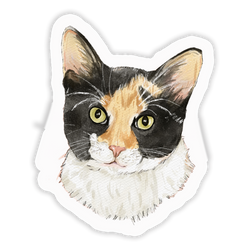 Faces Of Kitty Town Sticker Pack