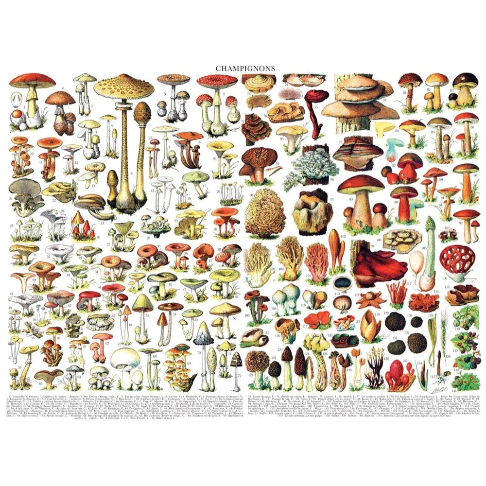 Mushrooms ~ Champignons 1000 Piece Jigsaw Puzzle NYPC (ONLINE ORDER ONLY)