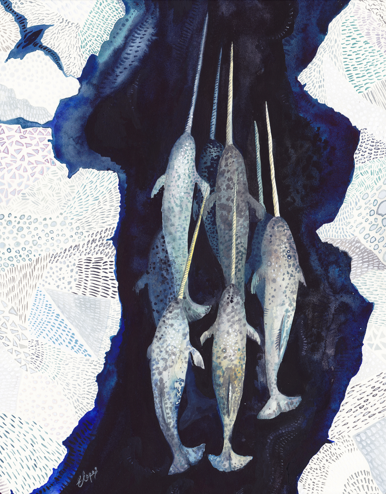 Narwhal, Emma Lopes (Online Order Only)