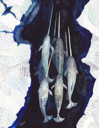 Narwhal, Emma Lopes (Online Order Only)