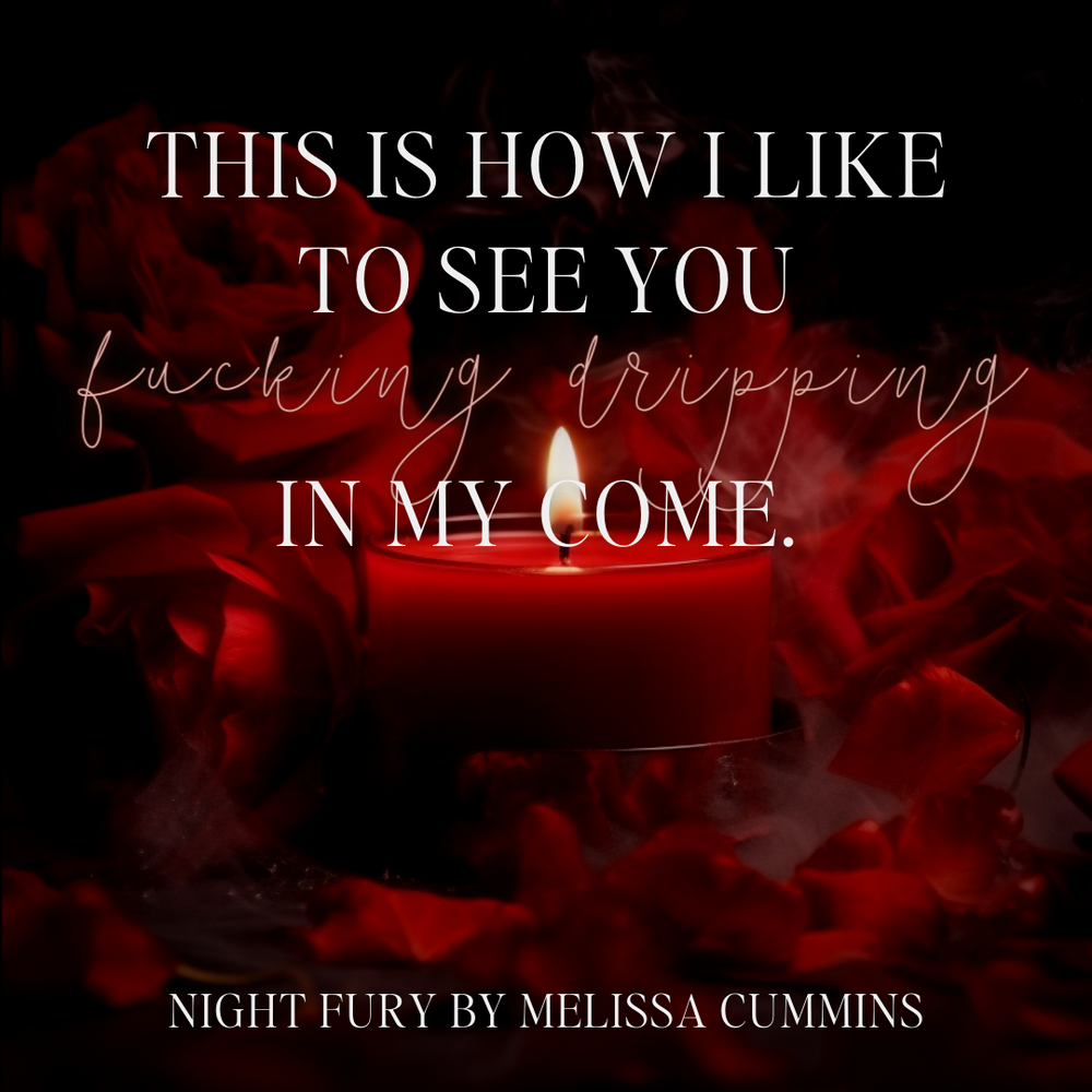 Night Fury Paperback (Online Order Only)