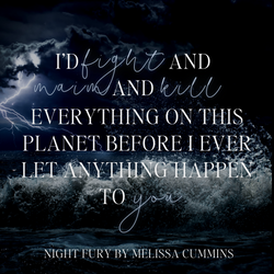 Night Fury Paperback (Online Order Only)