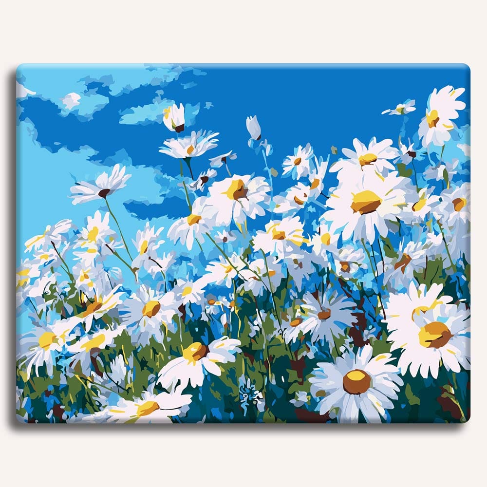 Summer Daisies - Paint By Numbers Kit (ONLINE ORDER ONLY)