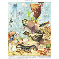 Oceanography 1000 Piece Jigsaw Puzzle NYPC (ONLINE ORDER ONLY)