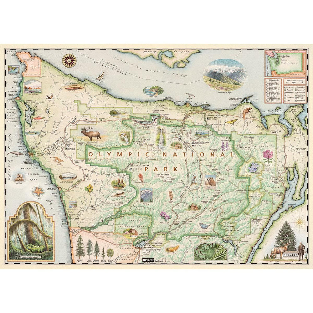 Olympic National Park 1000 Piece Jigsaw Puzzle Xplorer Maps (ONLINE ORDER ONLY)