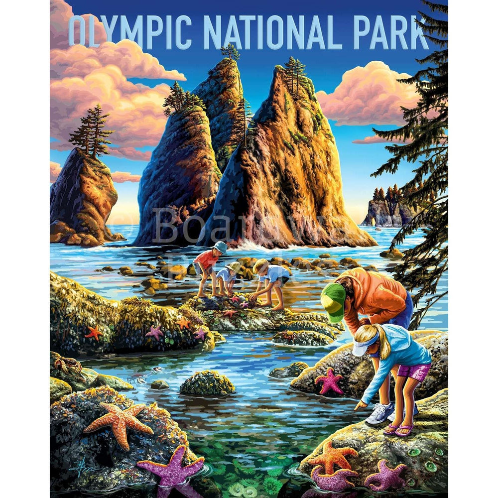 Olympic National Park 500 Piece Jigsaw Puzzle Boardwalk (ONLINE ORDER ONLY)