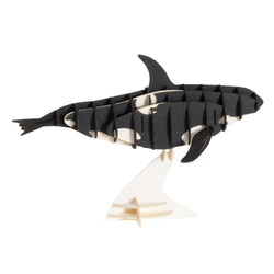 Orca 3D Cardboard Model Kit Fridolin (ONLINE ORDER ONLY)
