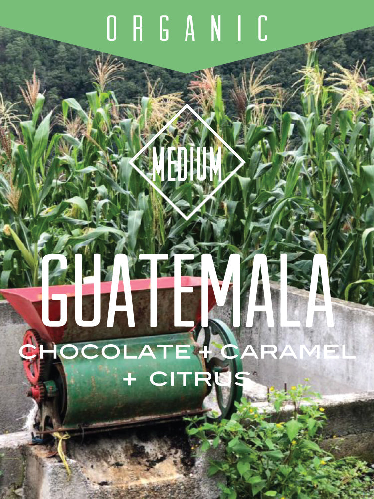 Organic Guatemala Huehuetenango (ONLINE ORDER ONLY)