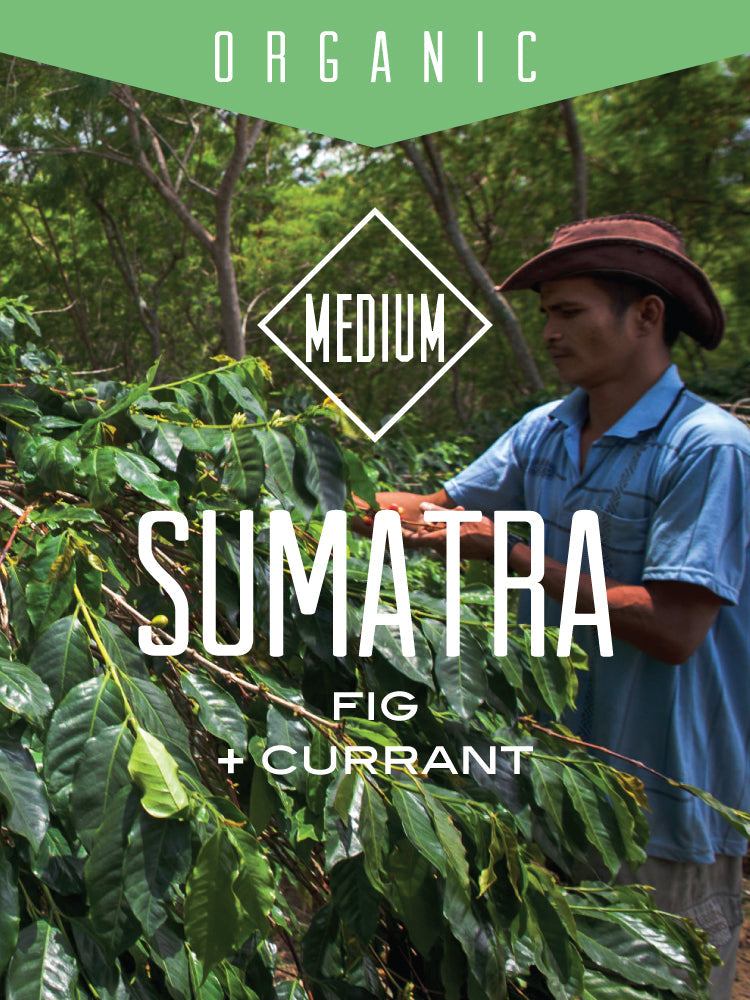 Organic Sumatra Bener Meriah Mandiri (ONLINE ORDER ONLY)