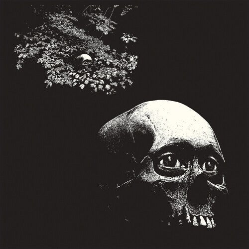 A Foul Form [Vinyl]