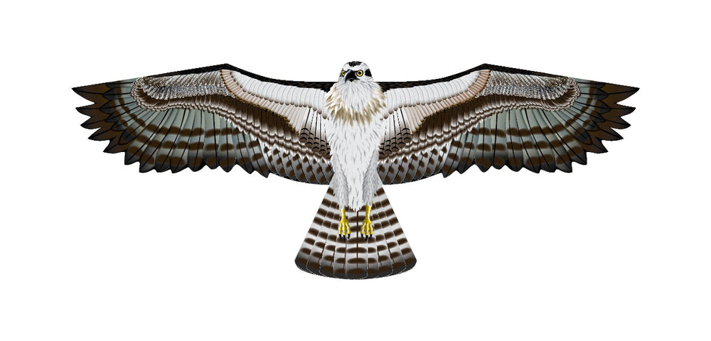 70 Inch Wingspan Supersize Ultra Osprey Ripstop Nylon Osprey Kite (ONLINE ORDER ONLY)