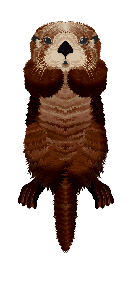 SeaLife 50 inch tall Nylon Otter Kite (ONLINE ORDER ONLY)