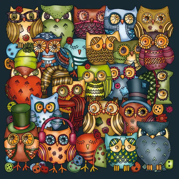Owls 211 Piece Jigsaw Puzzle with Display Frame Curiosi (ONLINE ORDER ONLY)