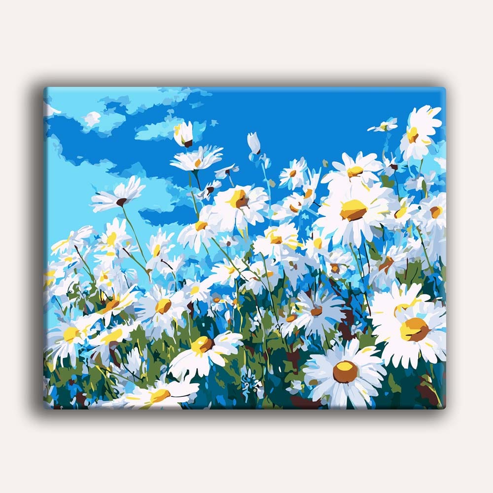 Summer Daisies - Paint By Numbers Kit (ONLINE ORDER ONLY)