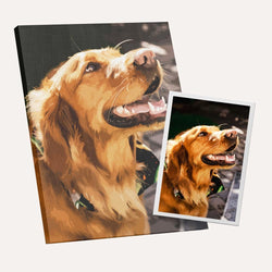 Custom Paint by Numbers Kit (ONLINE ORDER ONLY)