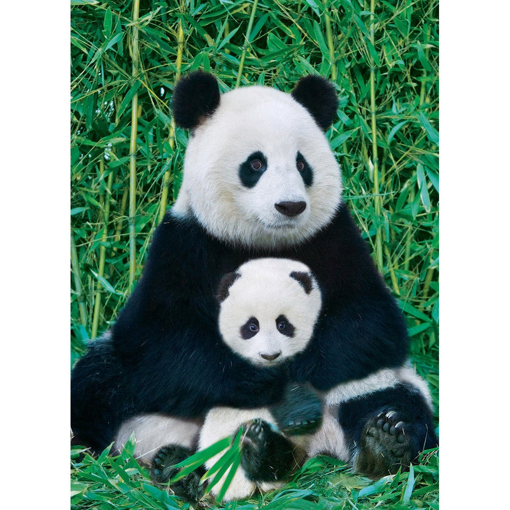 Panda & Baby 1000 Piece Jigsaw Puzzle Eurographics (ONLINE ORDER ONLY)
