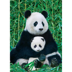 Panda & Baby 1000 Piece Jigsaw Puzzle Eurographics (ONLINE ORDER ONLY)