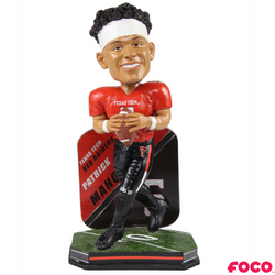 NCAA College Football Super Star Bobbleheads (ONLINE ORDER ONLY)
