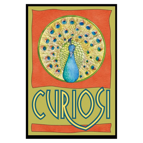 Peacock 33 Piece Mini Matchbox Jigsaw Puzzle Curiosi (ONLINE ORDER ONLY)