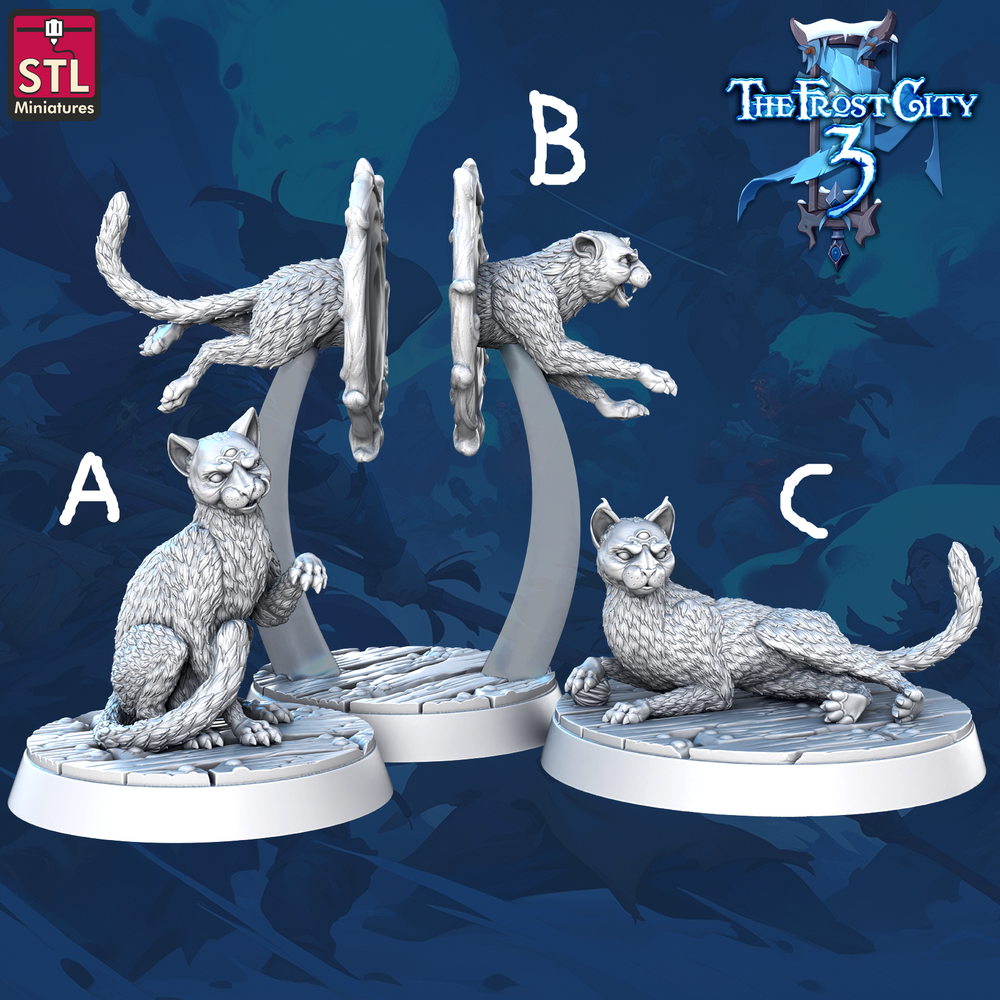 3D Printed STL Miniatures Phaze Cats Set Core Characters The Frost City 3 28 - 32mm War Gaming D&D (Online Only)