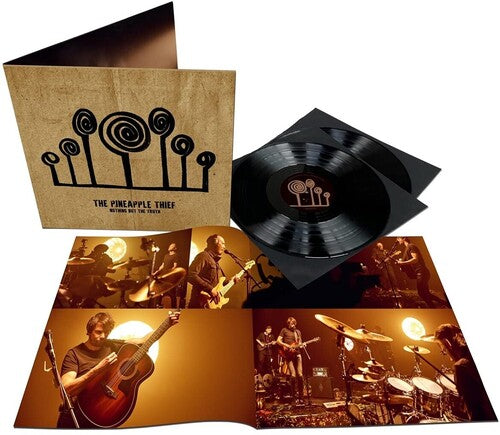 Nothing But The Truth (2 Lp's) [Vinyl] (ONLINE ORDER ONLY)