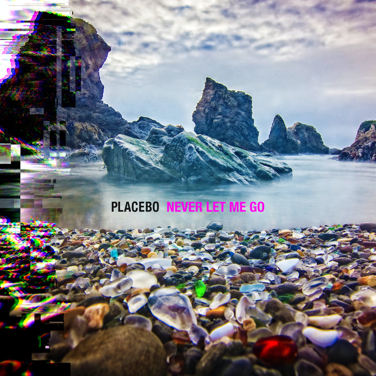 Never Let Me Go [Vinyl] (ONLINE ORDER ONLY)