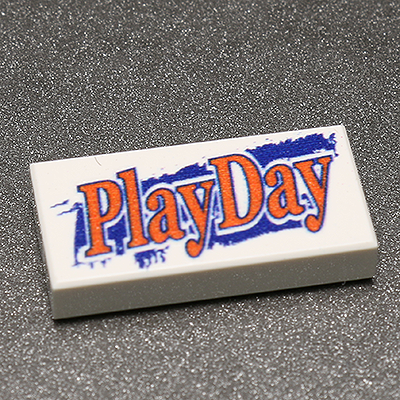 Play Day - Custom Printed 1x2 Tile (Online Order Only)