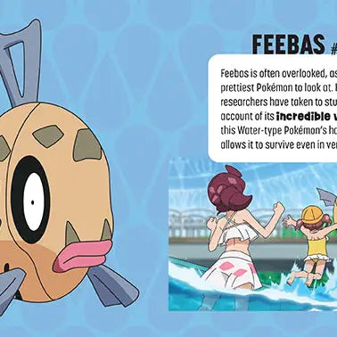 Pokémon: Trainer's Mini Exploration Guide To Hoenn (Online Order Only)