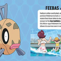 Pokémon: Trainer's Mini Exploration Guide To Hoenn (Online Order Only)