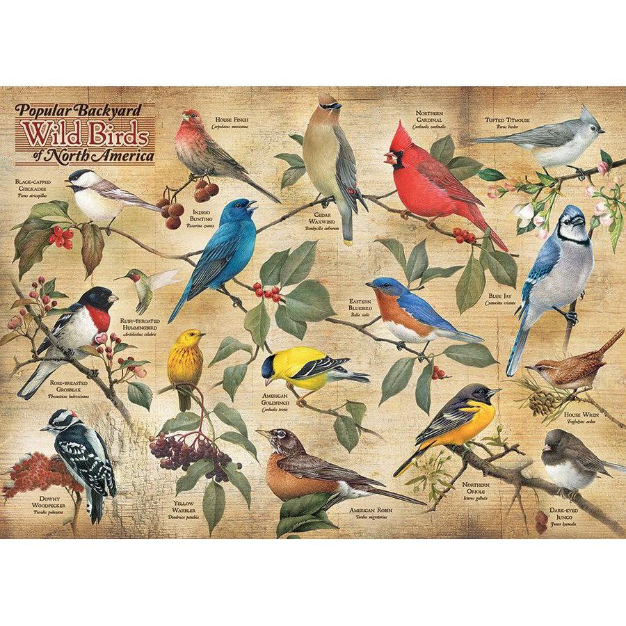 Popular Backyard Wild Birds of North America 1000 Piece Jigsaw Puzzle Cobble Hill (ONLINE ORDER ONLY)