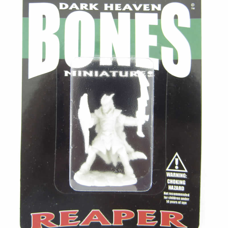 RPR77120 Vaeloth Helborn Paladin Miniature 25mm Heroic Scale (ONLINE ORDER ONLY)