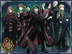 Ravensburger: Puzzle - Harry Potter - Gryffindor vs. Slytherin